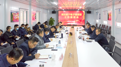 胡昊调研电子信息园建设