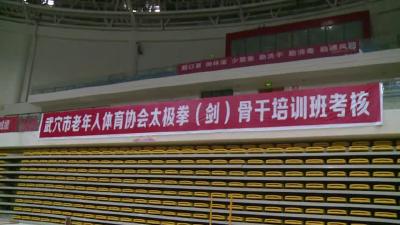 市老年体协开展太极拳教练员考核