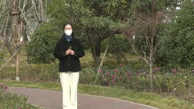 新冠病毒感染者居家指引之二：居家康复的感染者怎样做好健康监测?