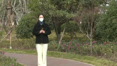 新冠病毒感染者居家指引之六：居家康复的感染者如何保持心态有利于早日康复?