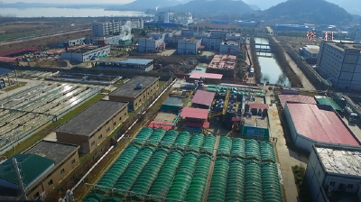 黄冈市督导服务组来我市督导检查稳住经济大盘工作