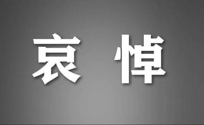 联合国安理会会议默哀悼念江泽民同志