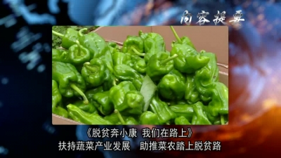 2017年9月15日《兴山新闻》