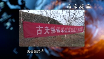 2018年3月22日《兴山新闻》