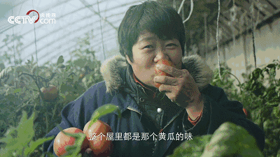 80后女博士回国种地 年入800万 发誓要让农民富起来