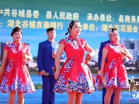 【图集】五谷深情 味在谷城 谷城首届农产品电商博览会盛大启幕