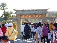 【图集】五谷深情 味在谷城 谷城首届农产品电商博览会盛大启幕