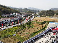 【图集】悠悠茶韵！直击紫金镇首届茶文化节开幕式！这边风景甚好~  