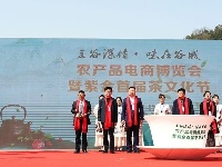 【图集】悠悠茶韵！直击紫金镇首届茶文化节开幕式！这边风景甚好~  