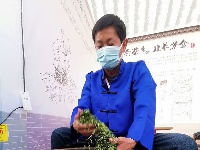 【图集】悠悠茶韵！直击紫金镇首届茶文化节开幕式！这边风景甚好~  