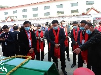 【图集】悠悠茶韵！直击紫金镇首届茶文化节开幕式！这边风景甚好~  