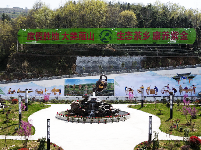 【图集】悠悠茶韵！直击紫金镇首届茶文化节开幕式！这边风景甚好~  