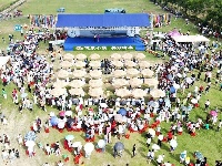 【图集】“小黄桃”绽放“大作为”，冷集首届黄桃节活动圆满成功