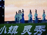 【图集】狂欢一“虾” “五谷深情·味在谷城”农旅博览会暨盛康首届稻虾节火热开幕