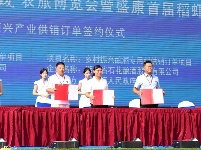 【图集】狂欢一“虾” “五谷深情·味在谷城”农旅博览会暨盛康首届稻虾节火热开幕