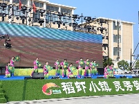 【图集】狂欢一“虾” “五谷深情·味在谷城”农旅博览会暨盛康首届稻虾节火热开幕