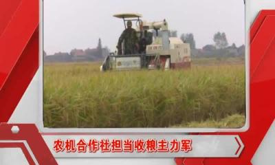 当阳新闻 2016-10-09.mp4