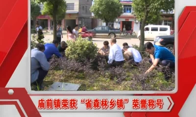 当阳新闻 2016-10-17.mp4