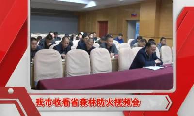 当阳新闻 2016-10-31.mp4