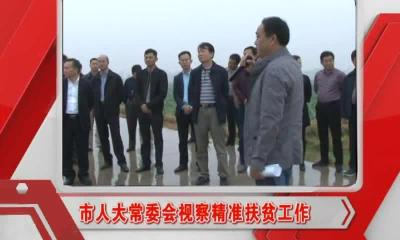 当阳新闻 2016-10-21.mp4