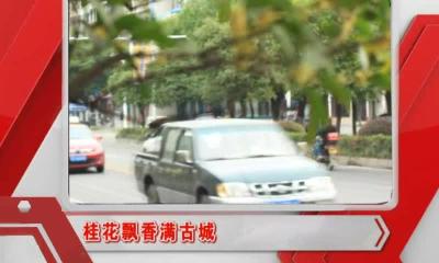 当阳新闻 2016-10-10.mp4