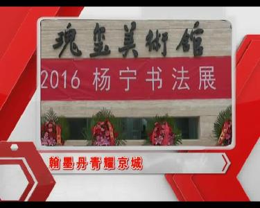 当阳新闻 2016-11-22