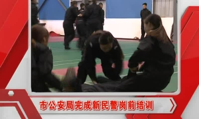 当阳新闻 2016-11-14