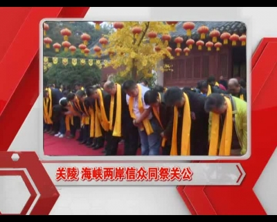 当阳新闻 2016-11-18