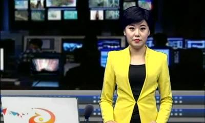 当阳新闻 2016-11-15