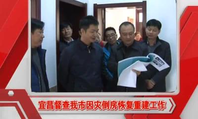 当阳新闻 2016-11-29