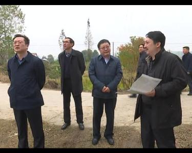 一周新闻综述 2016-11-19