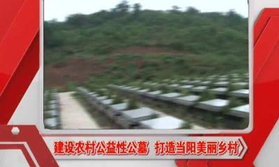 当阳新闻 2016-11-16