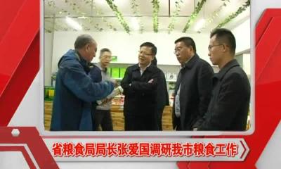 当阳新闻 2016-11-17