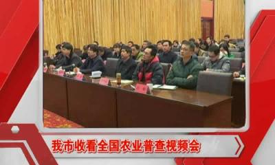 当阳新闻 2016-12-02