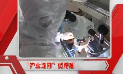 当阳新闻 2016-12-21