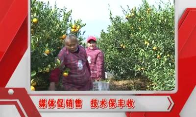 当阳新闻 2016-12-19