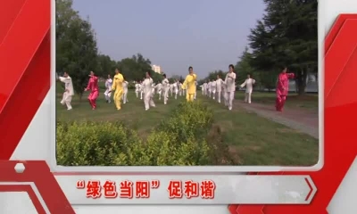 当阳新闻 2016-12-22