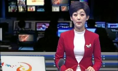 当阳新闻 2017-02-06