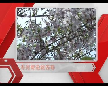 2017-0329-当阳新闻.mp4