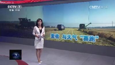 2017.05.21 CCTV-7《聚焦三农》丰收季遇上难得好天气