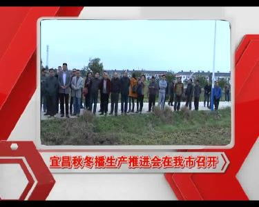 2017-1016-当阳新闻