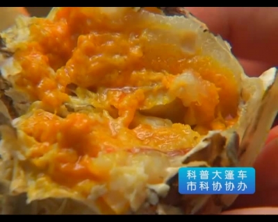 《科普大篷车》2018-0212