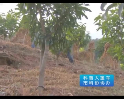 《科普大篷车》2018-0131