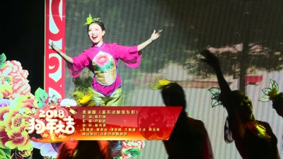 表演唱《谁不说咱家乡好》