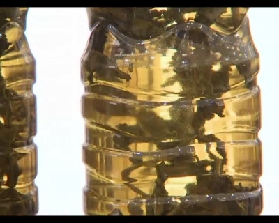 《科普大篷车》2018-0409 