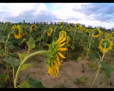 《科普大篷车》2018-0423