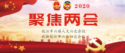 2020年枝江市“两会”新闻专题