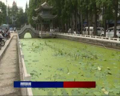 【V视】宜城：务工老人施救落水儿童获点赞