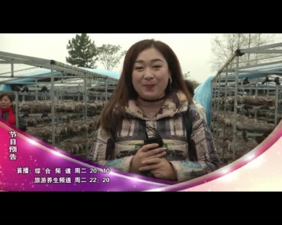 2017.11.22【玩转蕲春预告】艾都珍菇鲜  采摘乐翻天.mp4