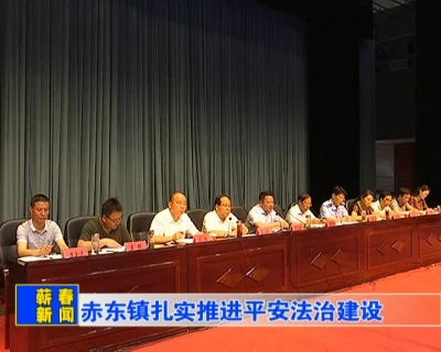 【新闻视频】赤东镇扎实推进平安法治建设